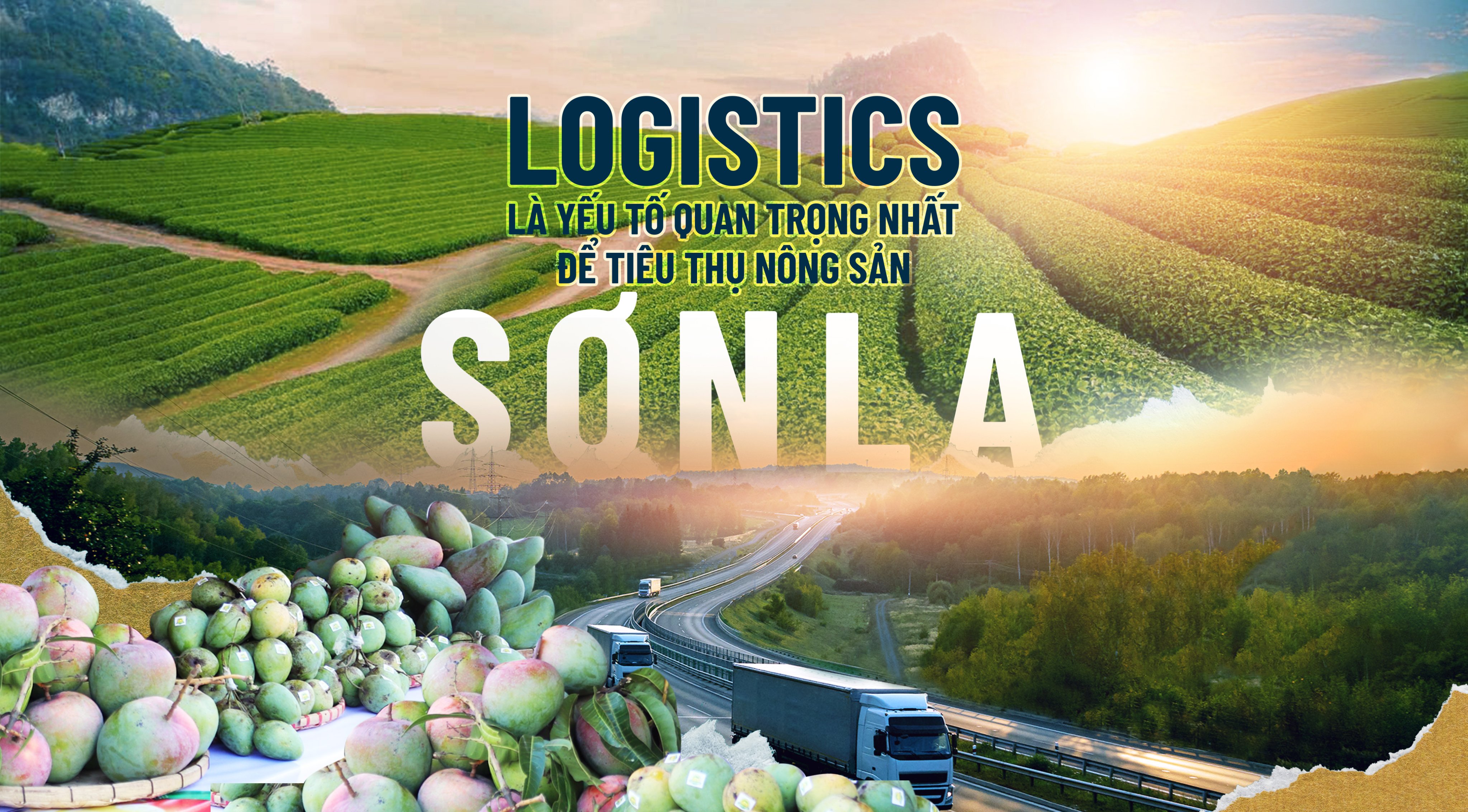 Logistics là yếu tố quan trọng nhất để tiêu thụ nông sản Sơn La