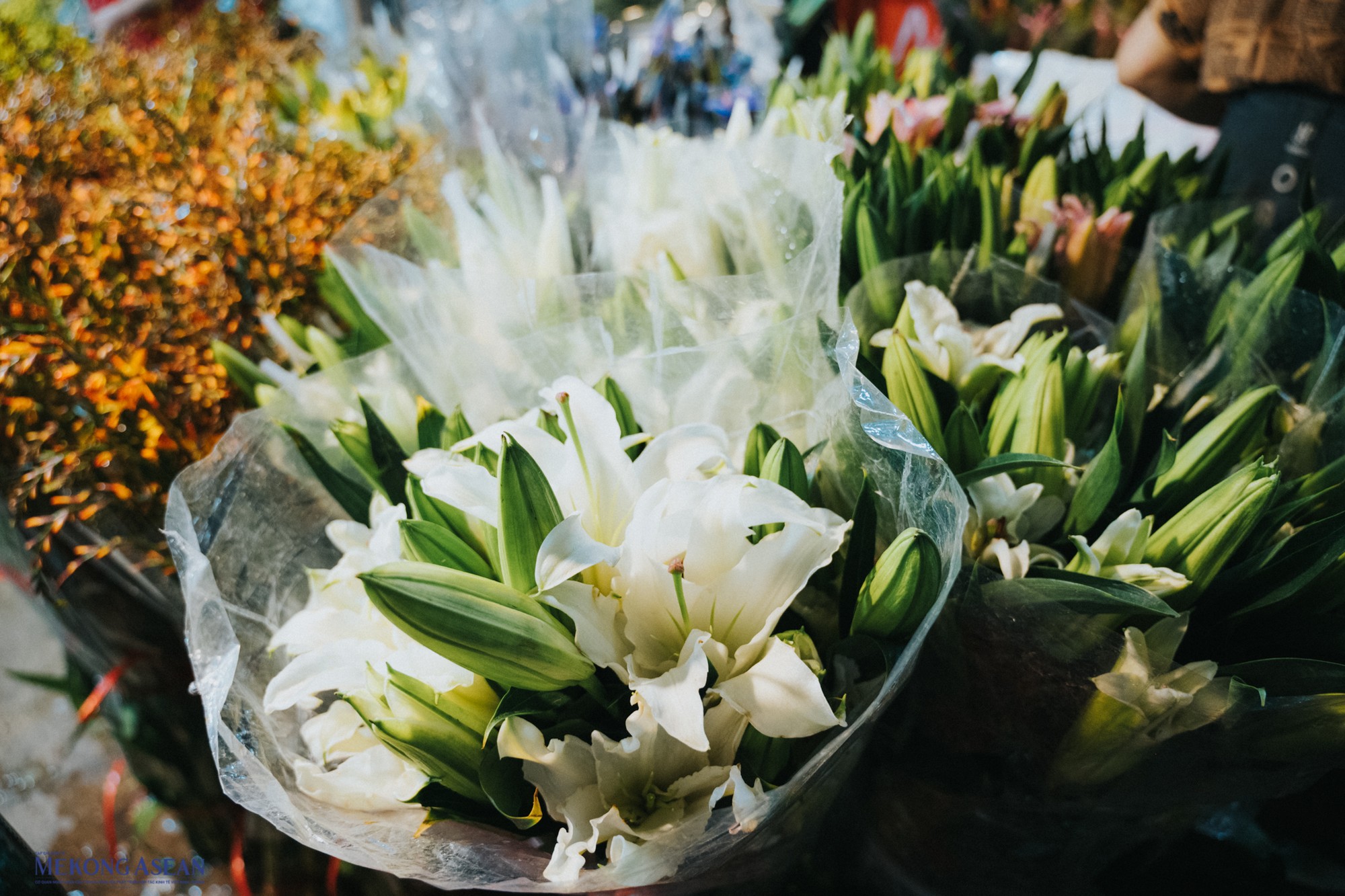 Loa kèn là một trong những loài hoa yêu thích vào độ chớm thu vì mùi hương nhè nhẹ cũng như tính đặc trưng của mùa.