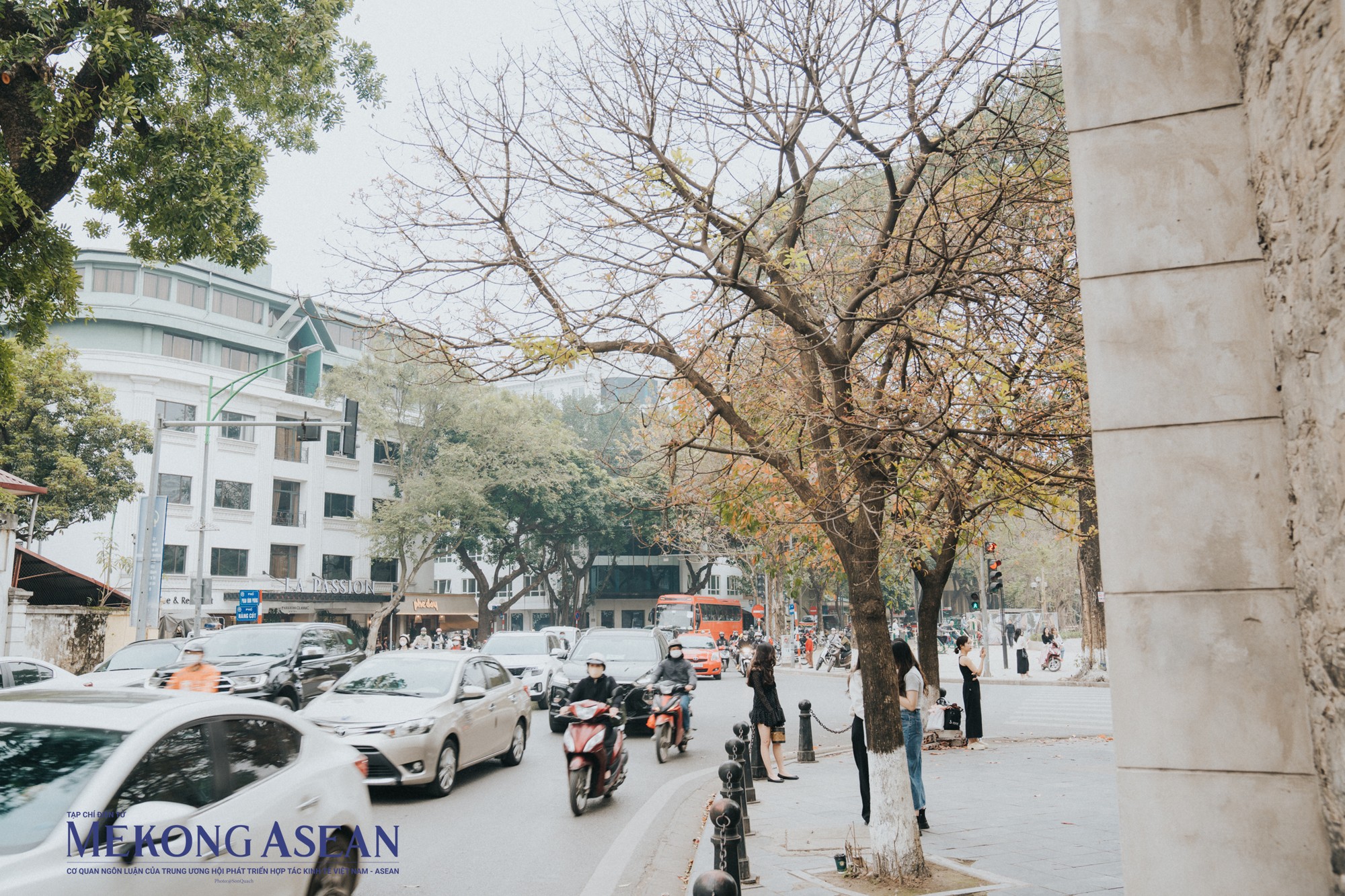 Phố phường Hà Nội đẹp dịu dàng, lãng mạn với mùa cây thay lá.
