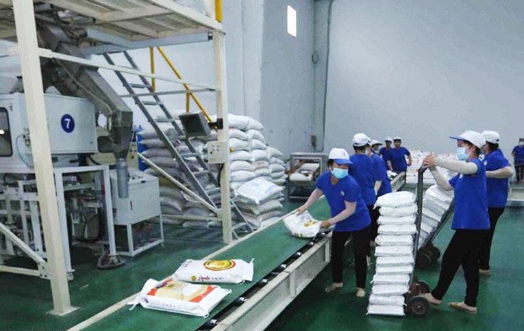 Xuất khẩu gạo Việt Nam đang giữ vững vị thế hàng đầu thế giới ảnh 1