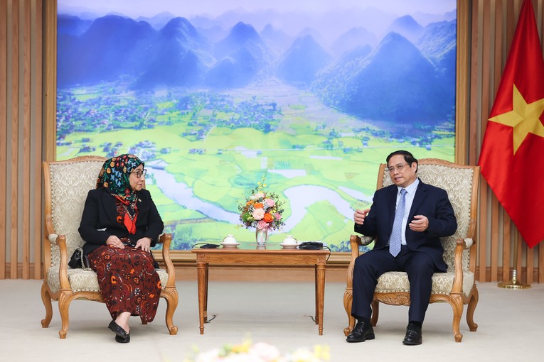 4 lĩnh vực hợp tác quan trọng giữa Việt Nam - Brunei ảnh 1