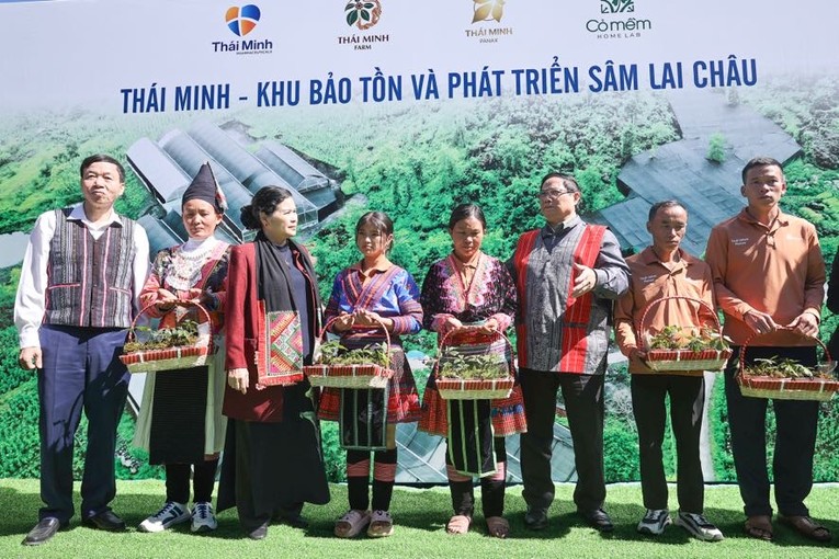 Thủ tướng Phạm Minh Chính tặng cây sâm giống cho một số hộ dân tại xã Sà Dề Phìn. Ảnh: VGP ảnh 4