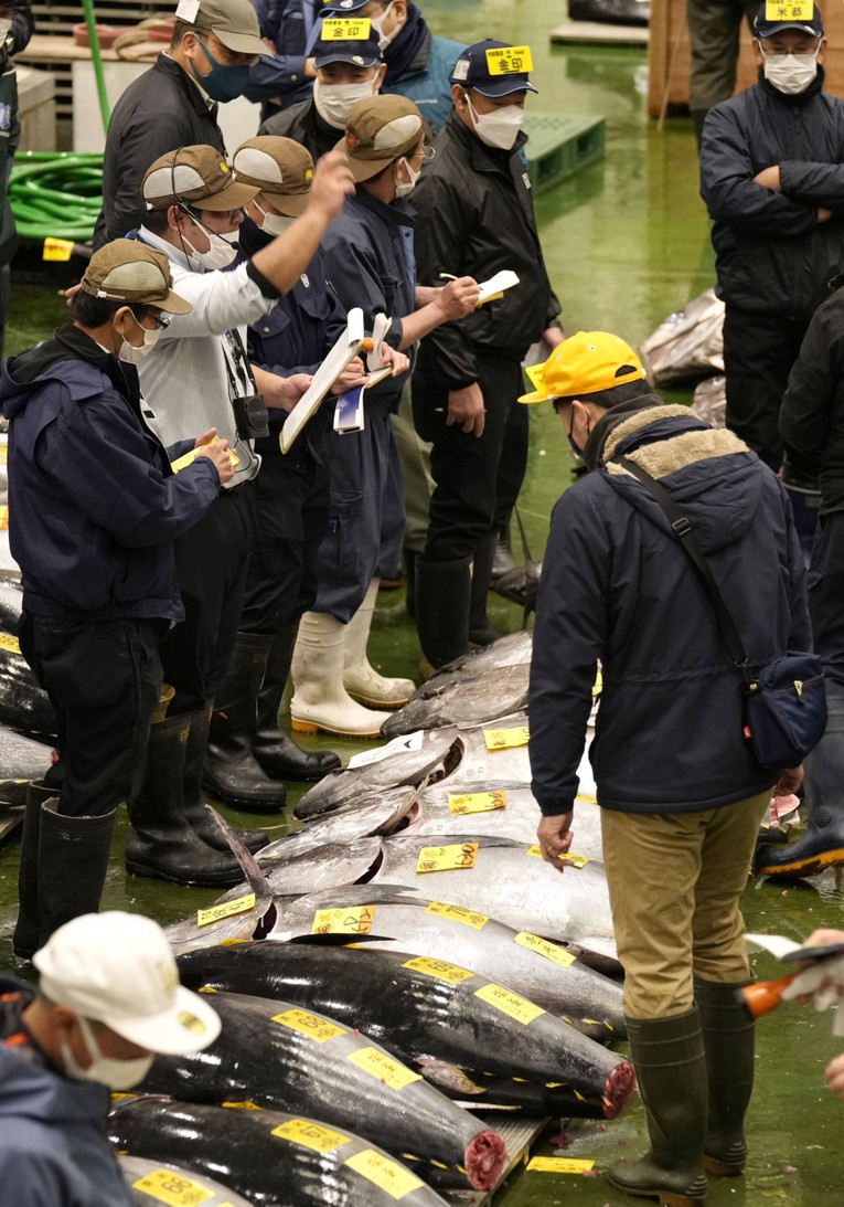 Một con cá ngừ Nhật Bản được đấu giá 275.000 USD trong phiên đầu năm ảnh 2