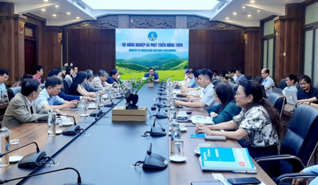 Thách thức mới cho nông sản Việt từ quy định của EU về chống phá rừng ảnh 1