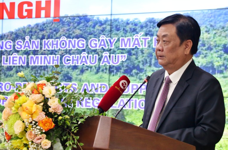 ‘Việt Nam sẵn sàng trở thành đồng minh của EU trong Quy định chống phá rừng’ ảnh 1