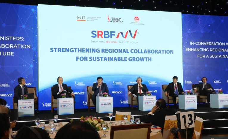 ‘Doanh nghiệp Singapore tin tưởng vào cải cách môi trường đầu tư của Việt Nam’ ảnh 1