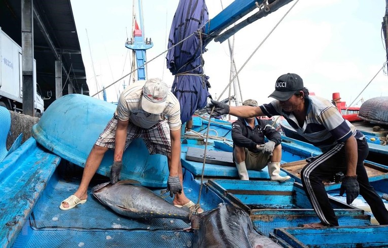 Việt Nam - Indonesia tiến tới ký Bản ghi nhớ về hợp tác nghề cá ảnh 1