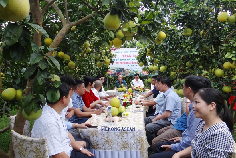 Bắc Giang: Khai mạc chương trình du lịch 'Về miền quả ngọt Lục Ngạn' 2022