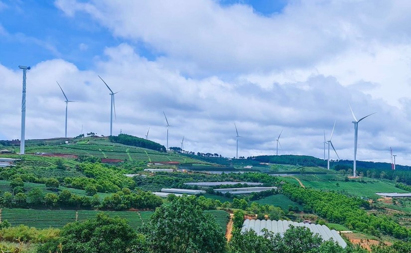 Dự án Nhà máy điện gió Cầu Đất. Nguồn: Báo Lâm Đồng.