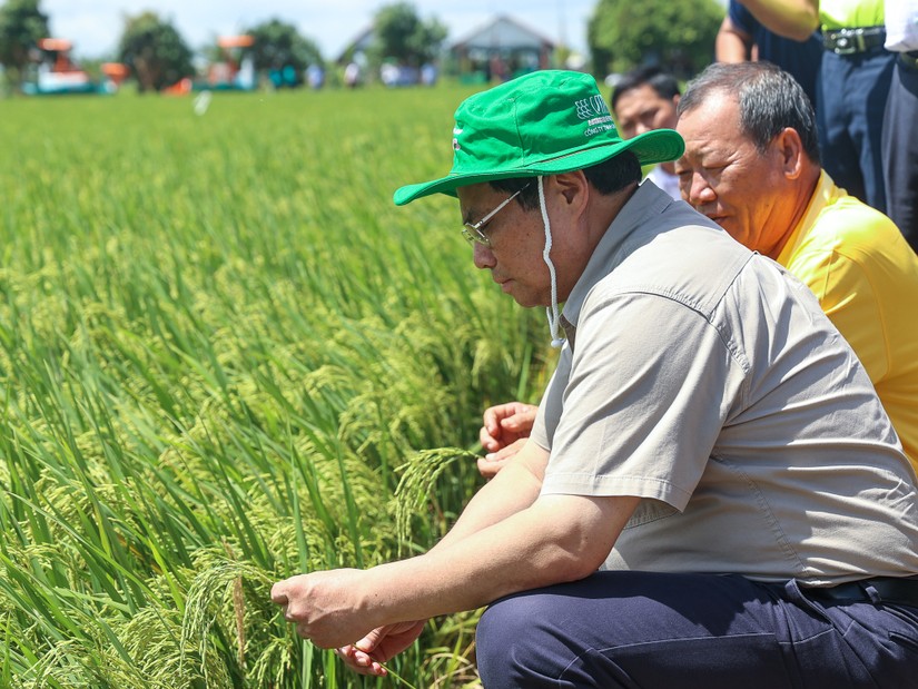 Thủ tướng Phạm Minh Chính đã thăm một số cơ sở sản xuất, chế biến lúa gạo, nông sản hiện đại, công nghệ cao tại Đồng Tháp. Ảnh: VGP