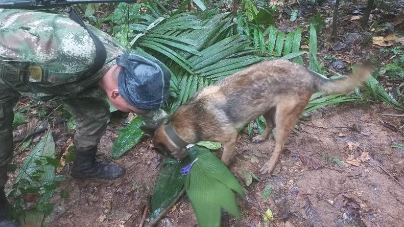 Binh sĩ và chó nghiệp vụ tìm kiếm tại hiện trường. Ảnh: Không quân Colombia