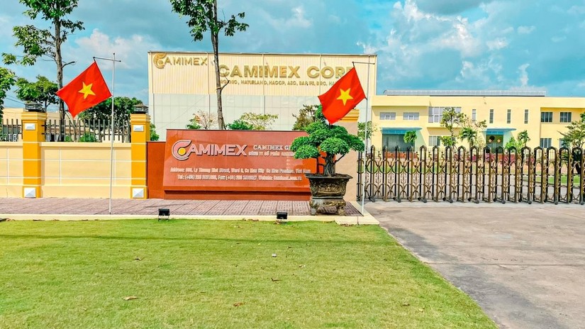 Camimex đặt mục tiêu 100 triệu USD xuất khẩu thủy sản năm nay