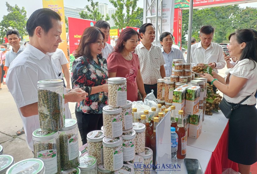 Người dân sẽ được thưởng thức trái nhãn đặc sản của tỉnh Hưng Yên ngay tại hội chợ. Ảnh: Lê Hồng Nhung