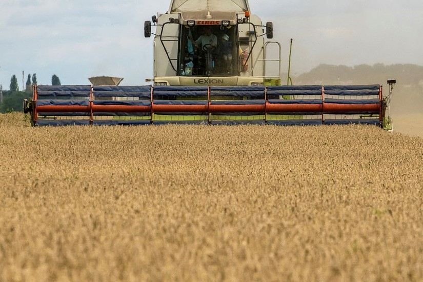 Hôm 29/10, Moscow thông báo đình chỉ việc tham gia vào thỏa thuận xuất khẩu ngũ cốc qua Biển Đen. Ảnh: Reuters