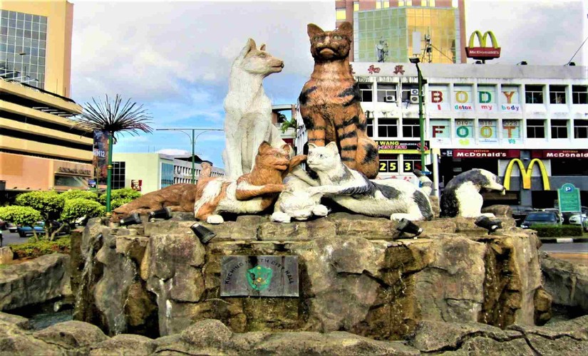 Tại Kuching, mèo xuất hiện ở khắp mọi nơi và là một phần của văn hóa địa phương. Ảnh: 