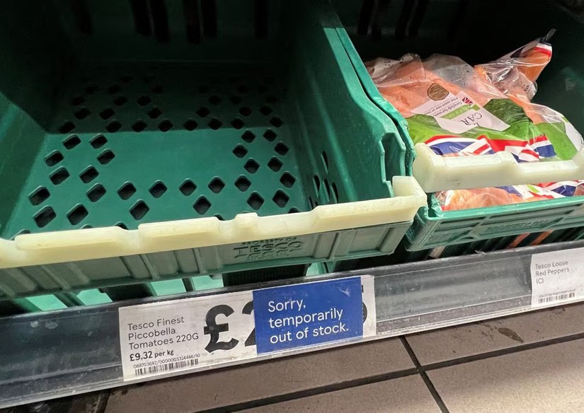 Hình ảnh kệ cà chua trống rỗng tại siêu thị Tesco, Anh. Ảnh: Reuters