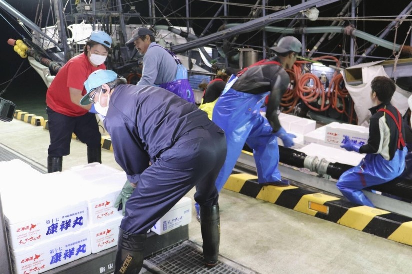 Ngư dân dỡ cá tại cảng Akkeshi, Hokkaido. Ảnh: Kyodo News