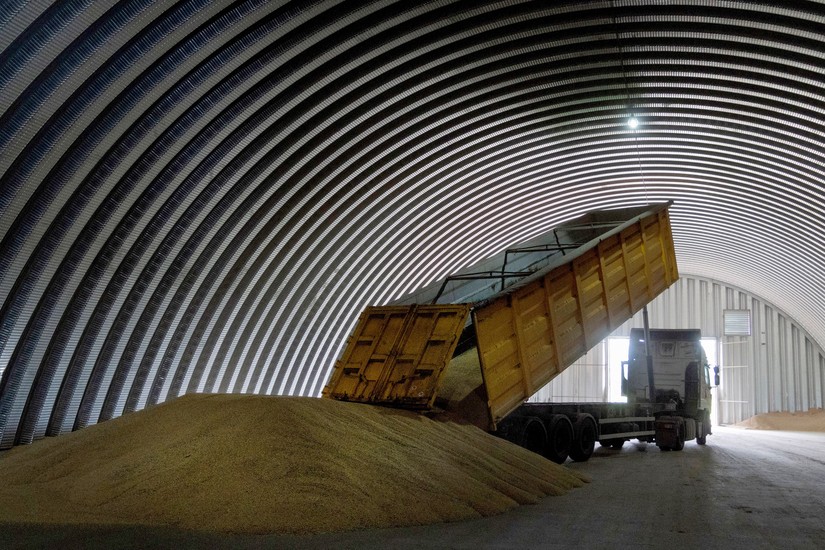 Thu hoạch ngũ cốc tại làng Zghurivka, Ukraine. Ảnh: AP
