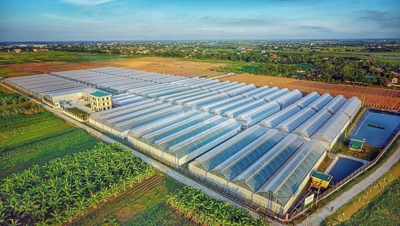 Khu nhà kính phát triển nông nghiệp công nghệ cao của tập đoàn PAN.