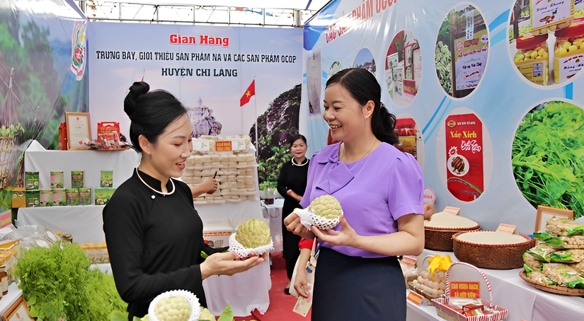 Gian trưng bày na Chi Lăng tại chương trình quảng bá, tiêu thụ Na và các sản phẩm OCOP huyện Chi Lăng. Ảnh: UBND Lạng Sơn.