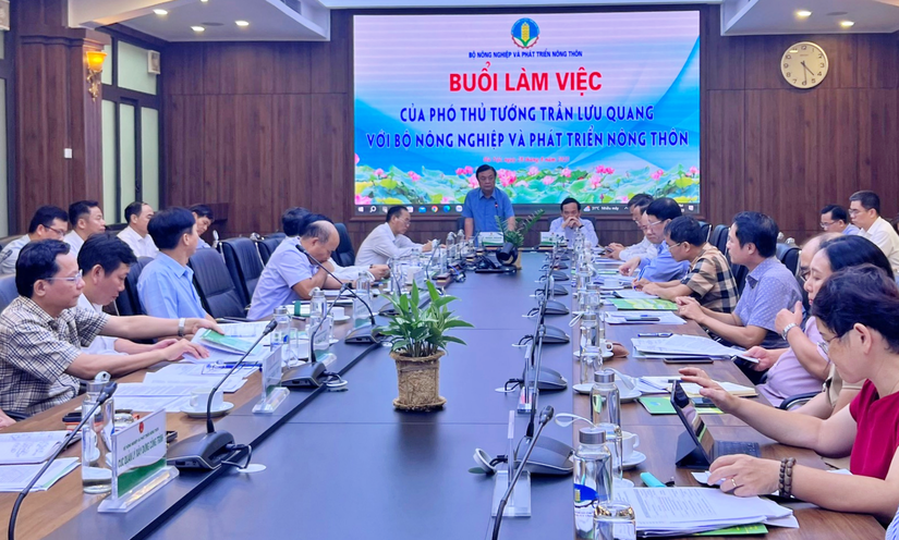 Phó Thủ tướng Chính phủ Trần Lưu Quang đã có buổi làm việc với Bộ NN&PTNT chiều 28/8. 