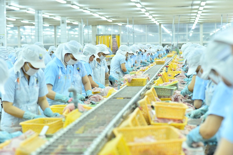 Nam Việt ghi nhận kết quả kinh doanh tích cực trong nửa đầu năm 2022