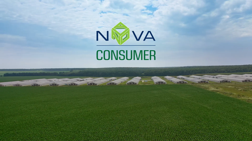 Với 119,8 triệu cổ phiếu đang lưu hành, Nova Consumer dự kiến sẽ phải chi ra 59,9 tỷ đồng để trả cổ tức lần này cho cổ đông. 