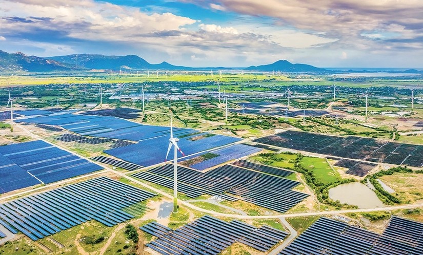 'Đông Nam Á có thể dẫn đầu toàn cầu về sản xuất năng lượng tái tạo'