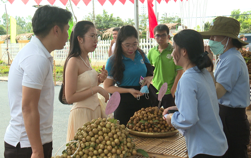 Người dân tham quan, mua nhãn trong ngày hội tại huyện Châu Thành. (Ảnh: Truyền hình Đồng Tháp)