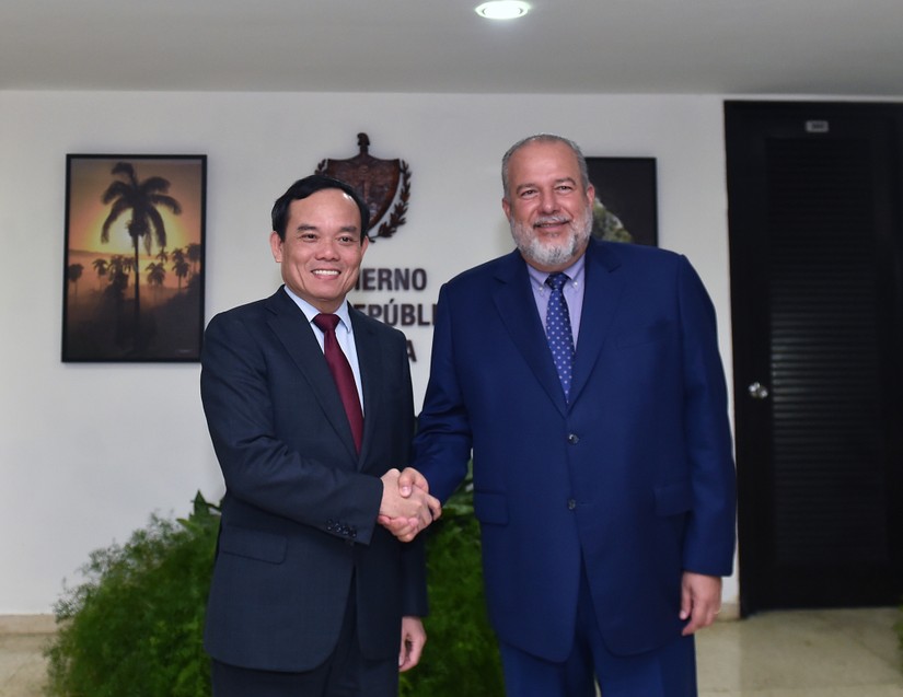 Phó Thủ tướng Chính phủ Trần Lưu Quang hội kiến Thủ tướng Cuba Manuel Marrero Cruz. Ảnh: VGP.