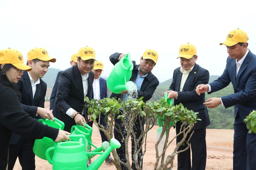 Lãnh đạo tỉnh Phú Thọ và lãnh đạo Tập đoàn T&T Group cùng các đại biểu tham gia trồng cây.