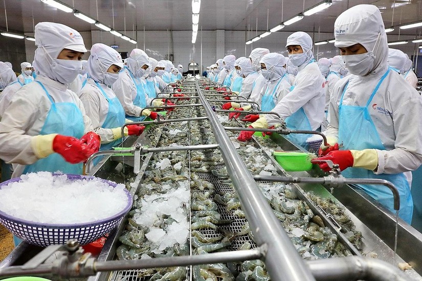 Xuất khẩu tôm Việt Nam đứng thứ 3 thế giới