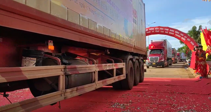Những chuyến hàng đầu tiên chở sầu riêng xuất khẩu chính ngạch sang Trung Quốc.