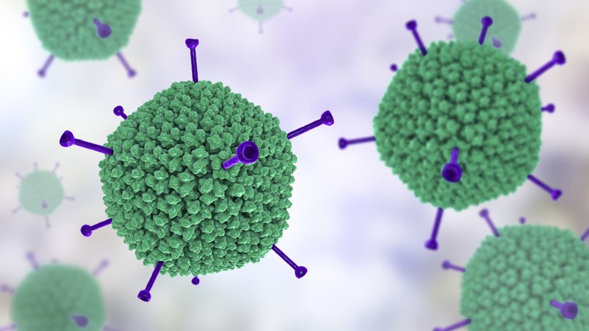 CDC Hà Nội yêu cầu tăng cường giám sát bệnh Adenovirus