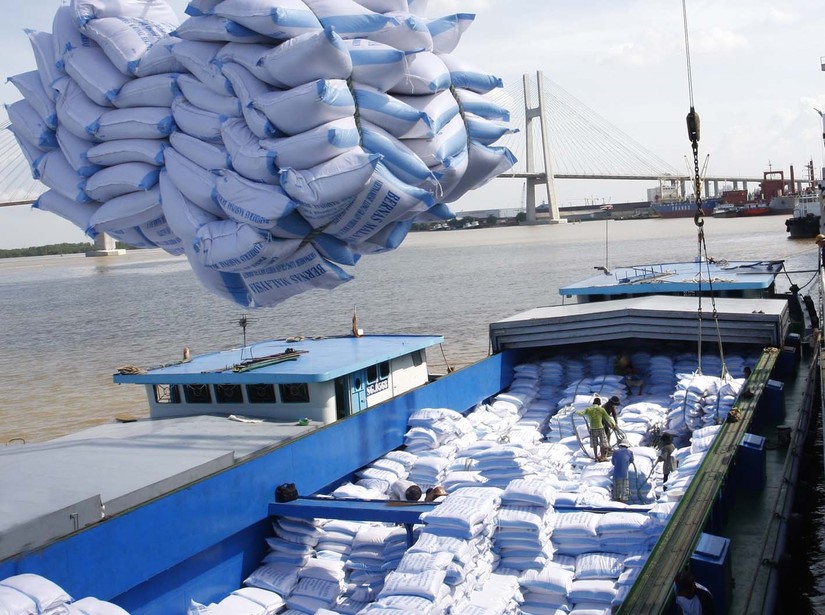 Xuất khẩu gạo Việt Nam được dự báo sẽ tạo đỉnh mới 4,5 tỷ USD
