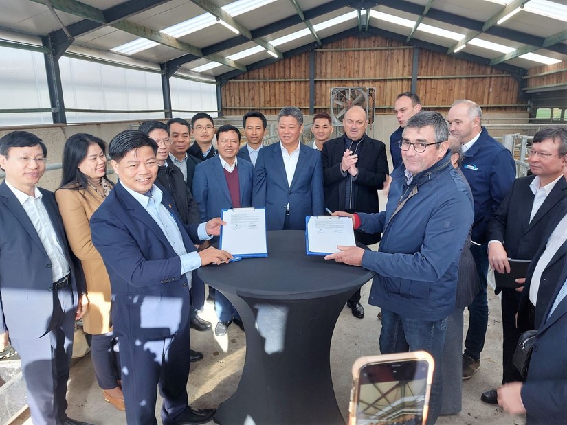 Công ty cổ phần giống gia súc Hà Nội và Công ty Belgimex đã ký kết biên bản thỏa thuận về tiếp tục hợp tác hoàn thiện quy trình chuyển giao giống bò 3B sang Việt Nam. Ảnh: VGP