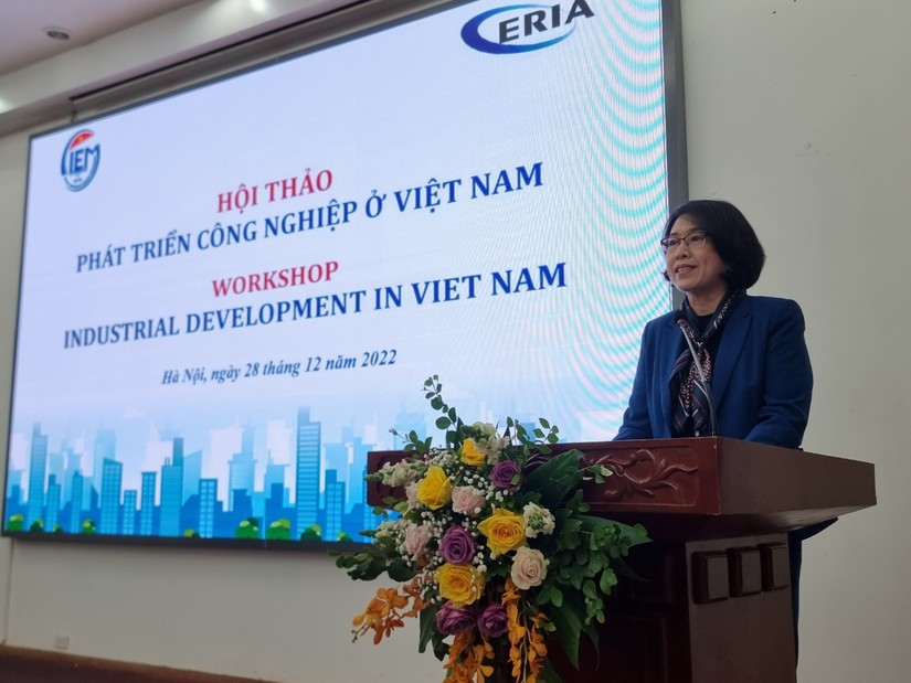 TS. Trần thị Hồng Minh, Viện trưởng Viện Nghiên cứu quản lý kinh tế Trung ương (CIEM) phát biểu khai mạc hội thảo. 