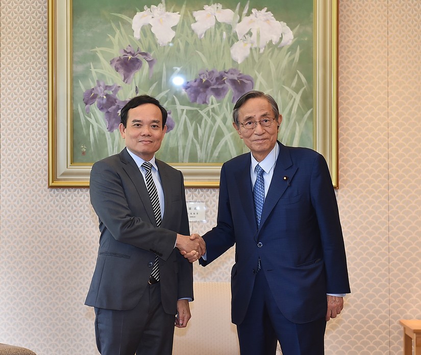 Phó Thủ tướng Trần Lưu Quang và Chủ tịch Hạ viện Nhật Bản Hosoda Hiroyuki. Ảnh: VGP
