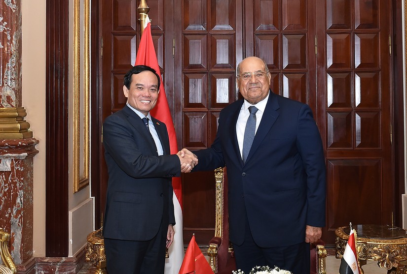 Phó Thủ tướng Trần Lưu Quang hội kiến Chủ tịch Thượng viện Ai Cập. Ảnh: VGP