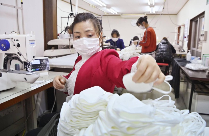 Một lao động nước ngoài trong nhà máy sản xuất khẩu trang vải thuộc một công ty may mặc ở tỉnh Gifu, Nhật Bản. Ảnh: Kyodo.