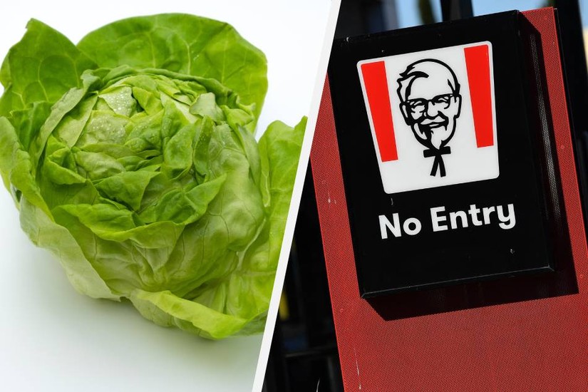 Tình trạng rau diếp khan hiếm khiến KFC ở Australia phải dùng cải bắp để thay thế. Ảnh: EPA-EFE 