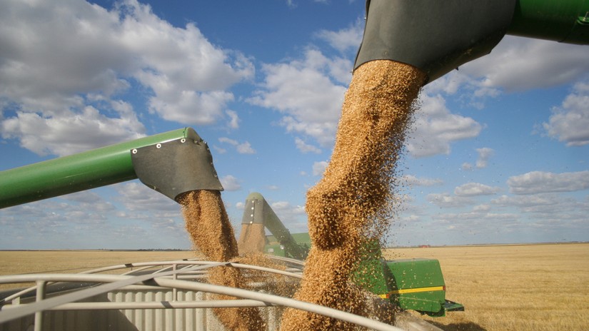 Nga tuyên bố sản lượng ngũ cốc của nước này có thể đạt 130 triệu tấn trong năm nay. Ảnh: RT