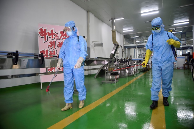 Hoạt động khử trùng tại nhà máy xà phòng ở Bình Nhưỡng, Triều Tiên, ngày 13/6. Ảnh: AFP