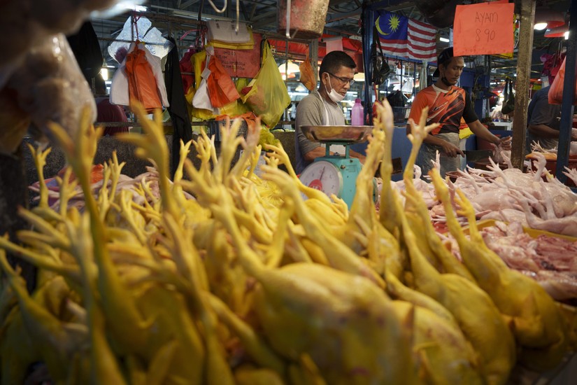 Một gian hàng bán thịt gà tại khu chợ Kampung Baru ở Kuala Lumpur, Malaysia. Ảnh: AP
