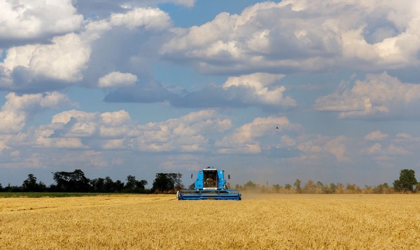 Thu hoạch lúa mì tại tại làng Muzykivk, thuộc tỉnh Kherson, Ukraine, ngày 26/7. Ảnh: Reuters