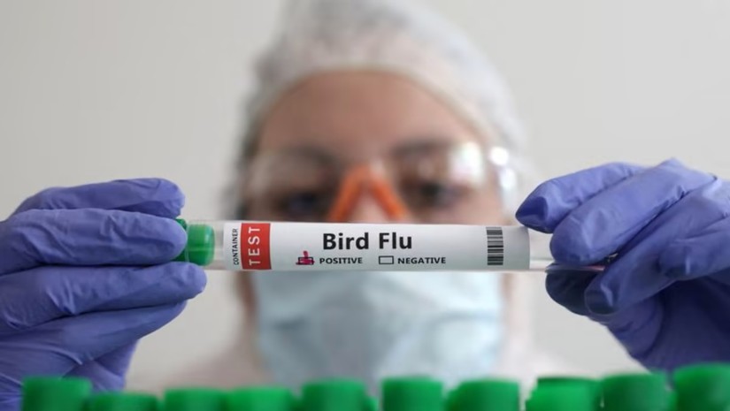 Trung Quốc ghi nhận ca tử vong đầu tiên do cúm H3N8. Ảnh: Reuters