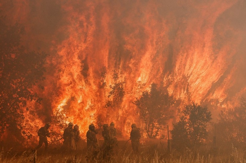Lính cứu hỏa chống cháy rừng ở Pumarejo de Tera, miền bắc Tây Ban Nha.