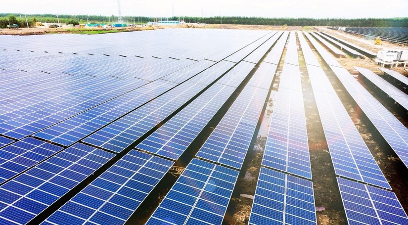 Bamboo Capital đầu tư lớn cho các dự án điện mặt trời, điện gió. Ảnh: Nhà máy năng lượng mặt trời BCG – CME Long An 1