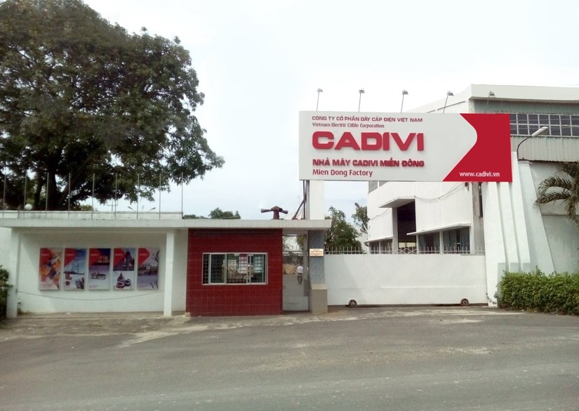 Những năm qua, Gelex liên tục chào mua cổ phiếu CAV để nâng tỷ lệ sở hữu tại Cadivi.