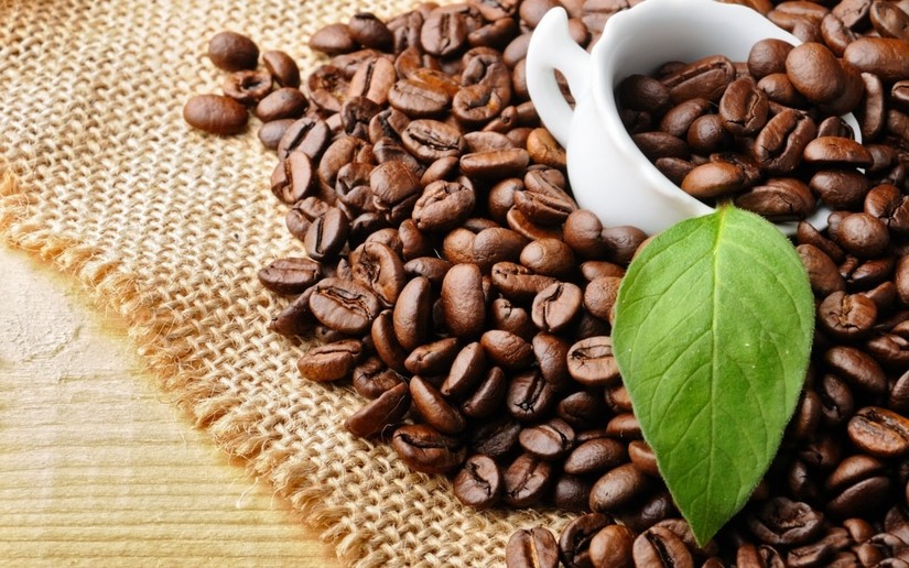 El Nino có thể làm giảm sản lượng cà phê robusta Việt Nam và Indonesia